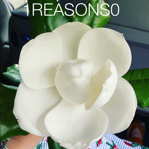 1reasons0